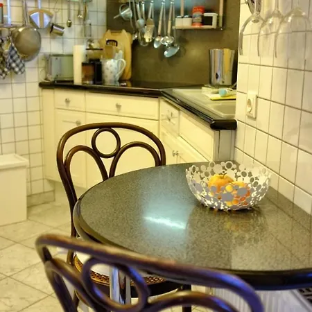 Altbauapartment Am Stadtpark Mit Uhrturmblick Apartman