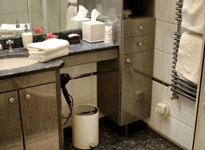 Apartment Altbauapartment Am Stadtpark Mit Uhrturmblick Graz