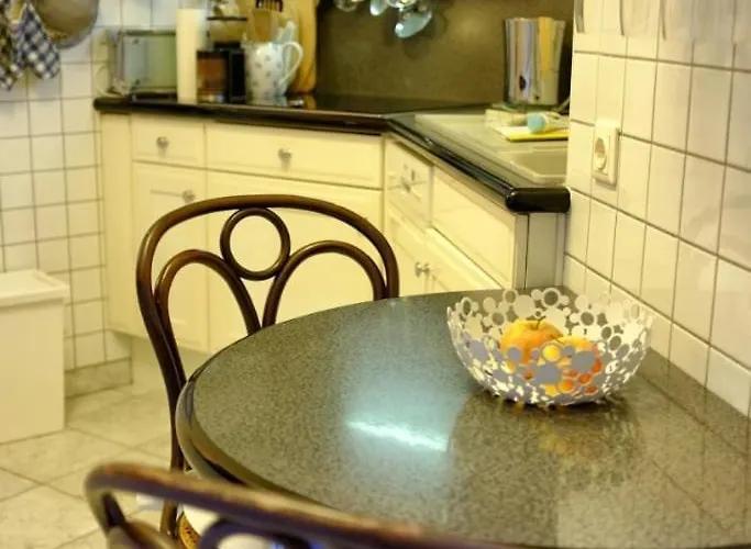 Altbauapartment Am Stadtpark Mit Uhrturmblick Apartment